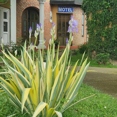 Motel Zoka Dvorovi Zewnętrze zdjęcie